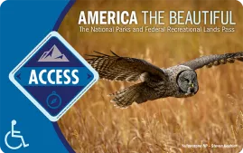 access-pass-media