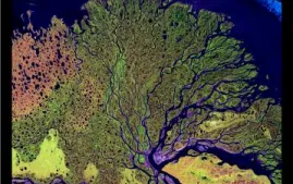 Example of earth as art map.