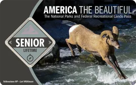 lifetime-senior-pass-media