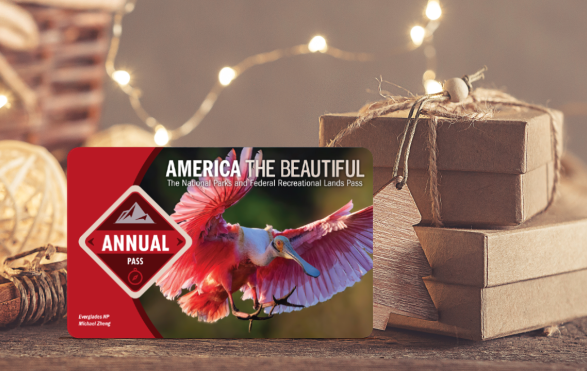 Annual National Parks Pass