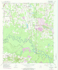DOMINO, TX-AR HISTORICAL MAP GEOPDF 7.5X