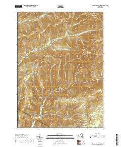 PEEKAMOOSE MOUNTAIN, NY