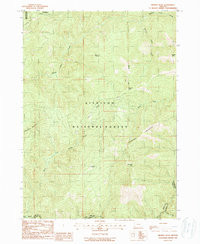 BRANDY PEAK, OR HISTORICAL MAP GEOPDF 7.