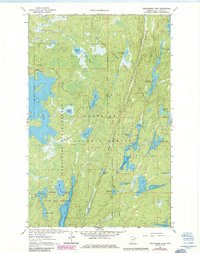 ANGLEWORM LAKE, MN HISTORICAL MAP GEOPDF
