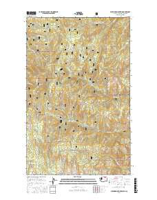 BUCKHORN MOUNTAIN, WA