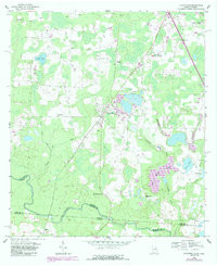 CLYATTVILLE, GA-FL HISTORICAL MAP GEOPDF