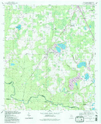 CLYATTVILLE, GA-FL HISTORICAL MAP GEOPDF