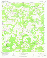 BADEN, GA-FL HISTORICAL MAP GEOPDF 7.5X7