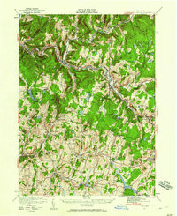 LIVINGSTON MANOR, NY HISTORICAL MAP GEOP