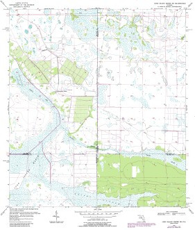 LONG ISLAND MARSH SE, FL