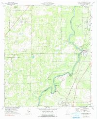BACONTON NORTH, GA HISTORICAL MAP GEOPDF