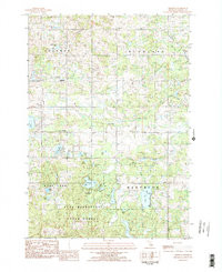 DIGHTON, MI HISTORICAL MAP GEOPDF 7.5X7.