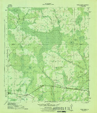 TENMILE SWAMP, FL HISTORICAL MAP GEOPDF