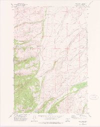 GIPSY LAKE, MT HISTORICAL MAP GEOPDF 7.5