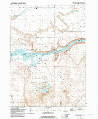 BRUNEAU DUNES, ID HISTORICAL MAP GEOPDF