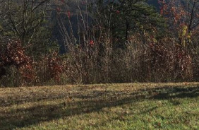 CHEROKEE NF - WATAUGA & UNAKA, TN