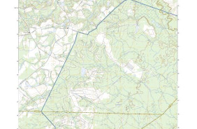 GLISSONS MILLPOND, GA