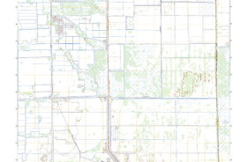 LITTLE CYPRESS SWAMP, FL