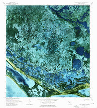 LAKE INGRAHAM EAST, FL HISTORICAL MAP GE
