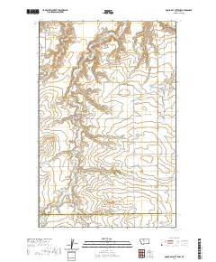 GOOSE BILL BUTTE NW, MT