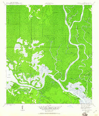 JACKSON RIVER, FL HISTORICAL MAP GEOPDF