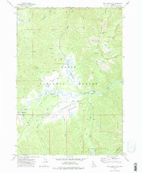 BLUE BUNCH MOUNTAIN, ID HISTORICAL MAP G