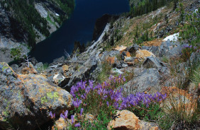 BITTERROOT NF - NORTH, MT
