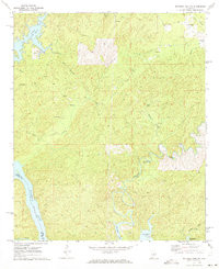 MITCHELL DAM NW, AL HISTORICAL MAP GEOPD