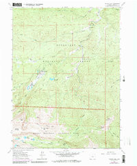 PINGREE PARK, CO HISTORICAL MAP GEOPDF 7