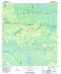 SARGENT, FL-GA HISTORICAL MAP GEOPDF 7.5