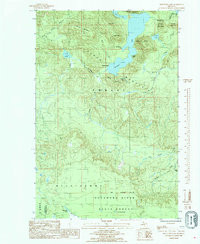 MOUNTAIN LAKE, MI HISTORICAL MAP GEOPDF