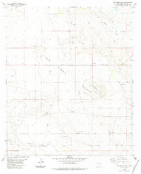 SAN SIMON SINK, NM HISTORICAL MAP GEOPDF