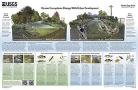STREAM ECOSYSTEMS CHANGE URBAN DEVELOPME