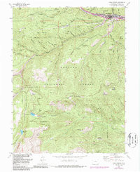 IDAHO SPRINGS, CO HISTORICAL MAP GEOPDF
