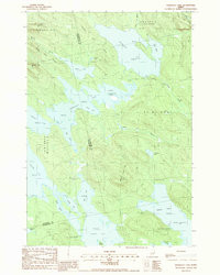 SCRAGGLY LAKE, ME HISTORICAL MAP GEOPDF