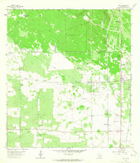ENCINO, TX HISTORICAL MAP GEOPDF 7.5X7.5