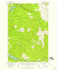 KAPOWSIN, WA HISTORICAL MAP GEOPDF 15X15