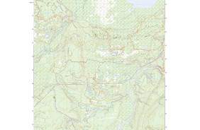 BETSY LAKE SOUTH, MI