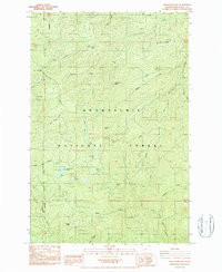 NEWAUKUM LAKE, WA HISTORICAL MAP GEOPDF