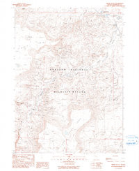 VIRGIN VALLEY, NV HISTORICAL MAP GEOPDF