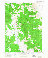 MORGAN BUTTE, OR HISTORICAL MAP GEOPDF 7