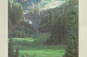 MENDOCINO NF - YOLLA BOLLY-MIDDLE EEL