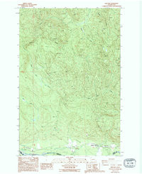 ASHFORD, WA HISTORICAL MAP GEOPDF 7.5X7.