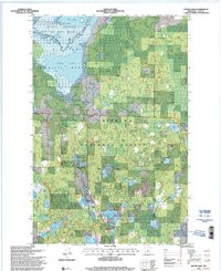 GOOSE LAKE, MN HISTORICAL MAP GEOPDF 7.5