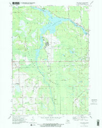 LAKE WINYAH, MI HISTORICAL MAP GEOPDF 7.