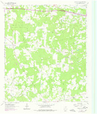 STRICKLIN SPRINGS, TX HISTORICAL MAP GEO
