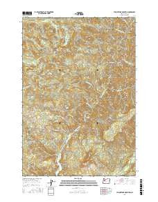 YELLOWSTONE MOUNTAIN, OR