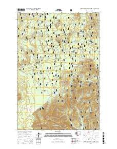 LITTLE HUCKLEBERRY MOUNTAIN, WA