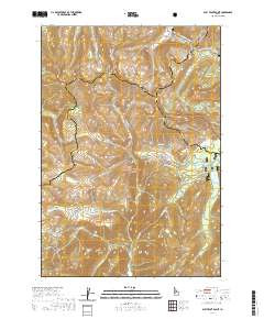 BULL TROUT POINT, ID