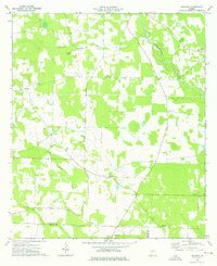 BETHANY, GA HISTORICAL MAP GEOPDF 7.5X7.